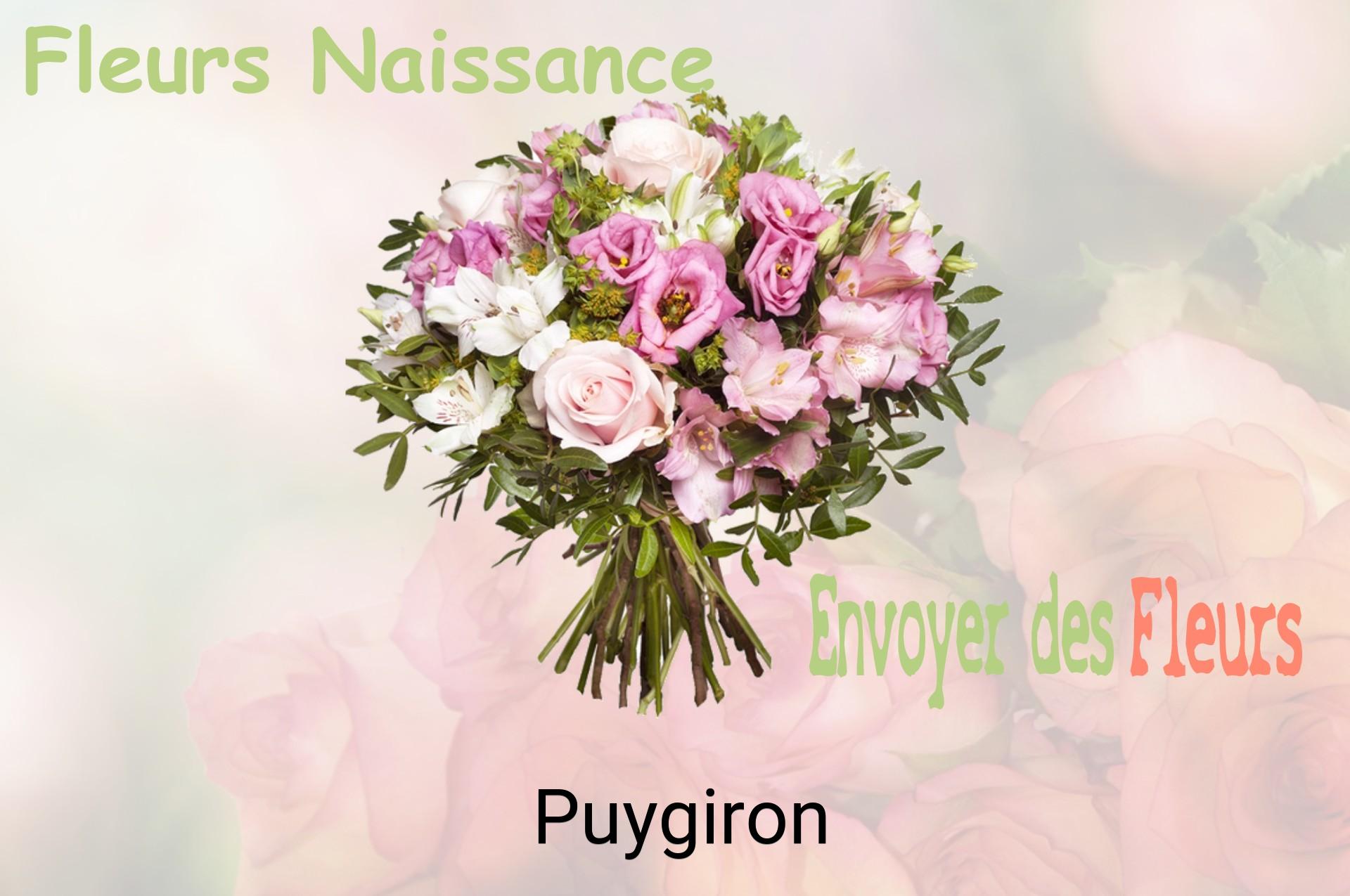 Bouquet de fleurs de naissance livré à Puygiron